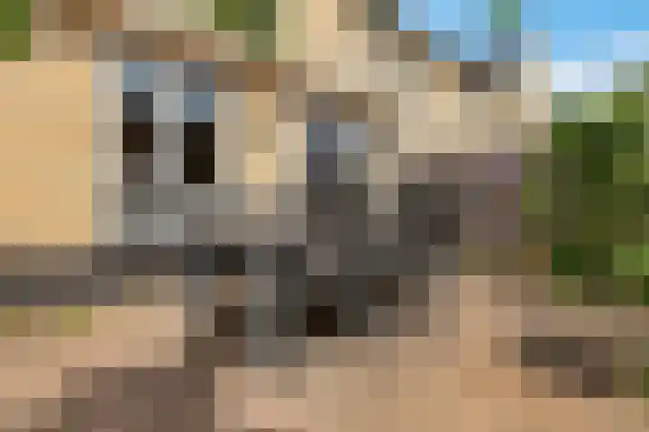 Rietkamp 58 Odijk thumbnail 54