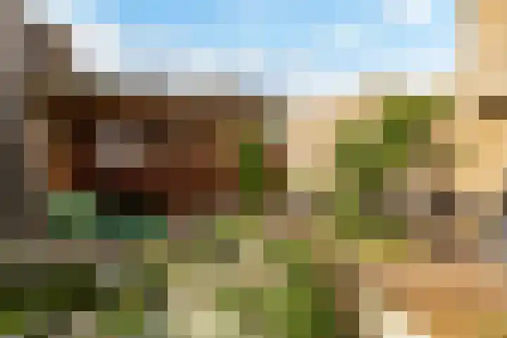 Rietkamp 58 Odijk thumbnail 55