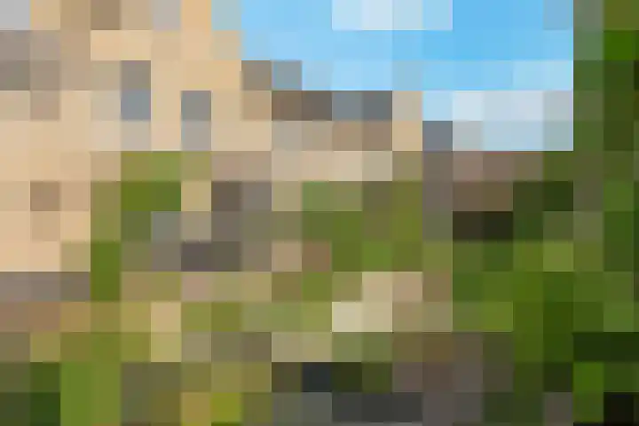 Rietkamp 58 Odijk thumbnail 56