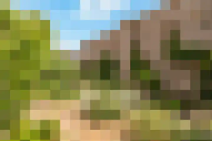 Rietkamp 58 Odijk thumbnail 57