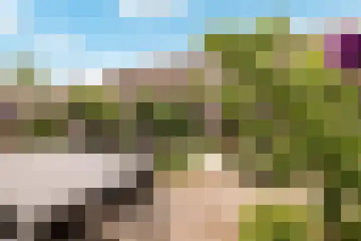 Rietkamp 58 Odijk thumbnail 58