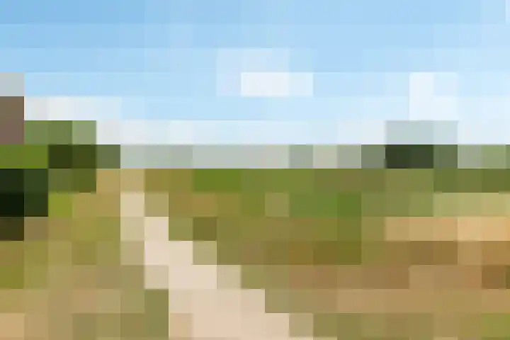 Rietkamp 58 Odijk thumbnail 64