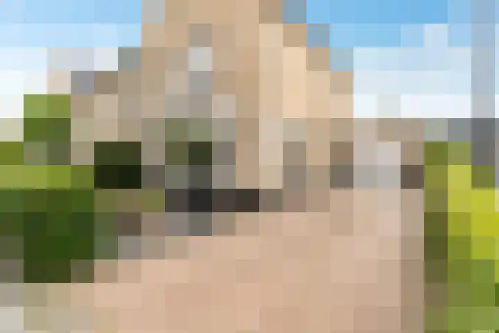 Rietkamp 58 Odijk thumbnail 8