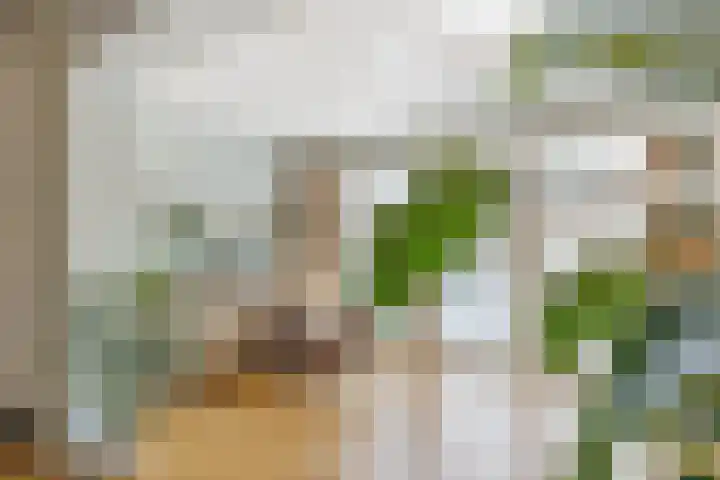 Rietkamp 68 Vianen thumbnail 10