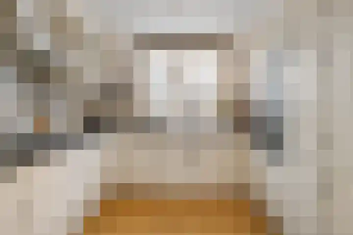 Rietkamp 68 Vianen thumbnail 14