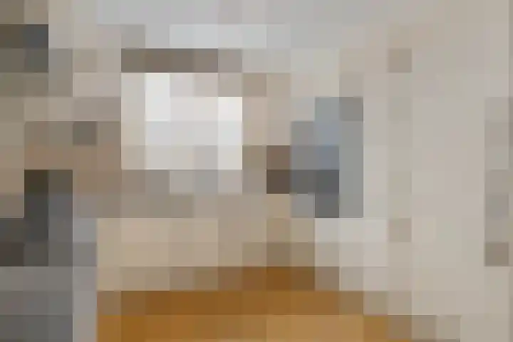Rietkamp 68 Vianen thumbnail 15