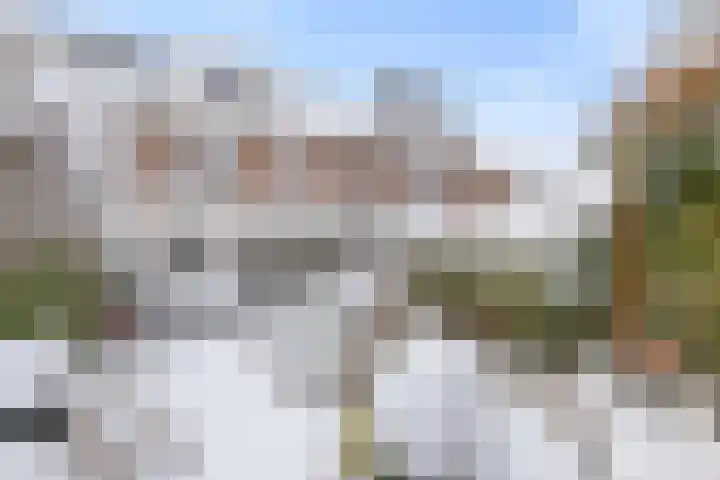Rietkamp 68 Vianen thumbnail 20