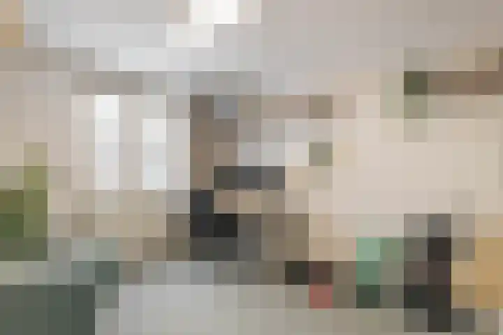 Rietkamp 68 Vianen thumbnail 28