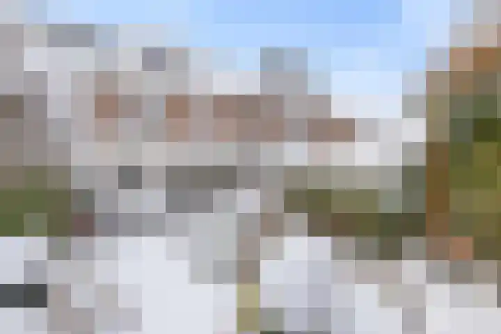 Rietkamp 68 Vianen thumbnail 4