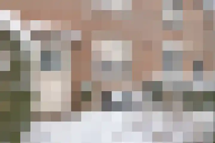 Rietkamp 68 Vianen thumbnail 5