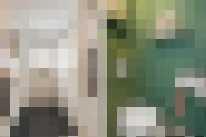 Rietkamp 68 Vianen thumbnail 6