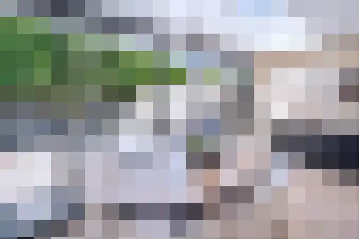 Rietkampen 11 Beek en Donk thumbnail 12