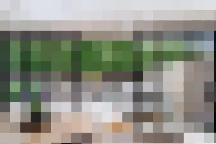 Rietkampen 11 Beek en Donk thumbnail 13