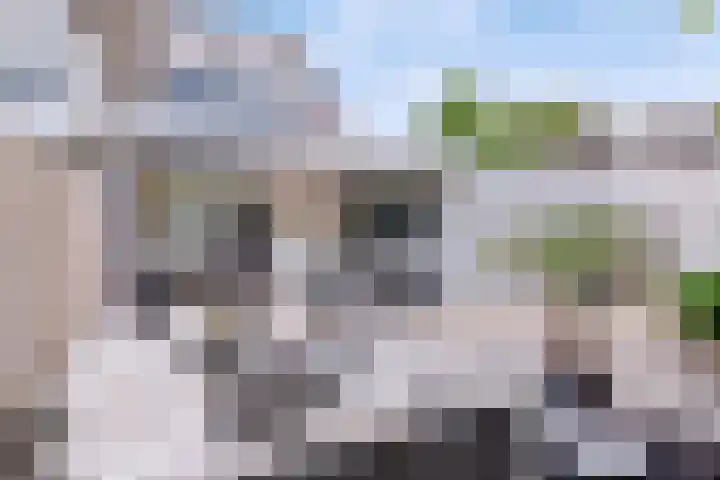 Rietkampen 11 Beek en Donk thumbnail 14