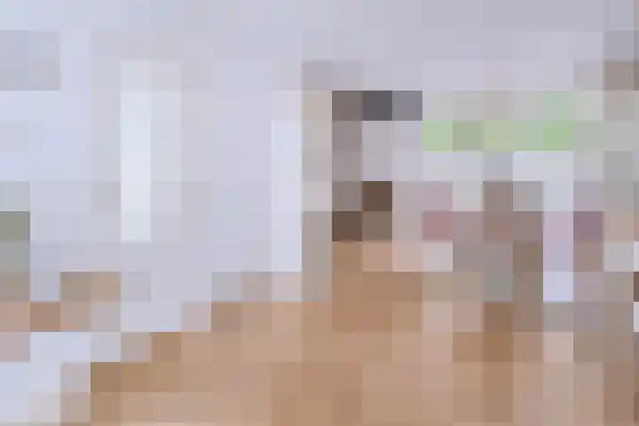 Rietkampen 11 Beek en Donk thumbnail 15