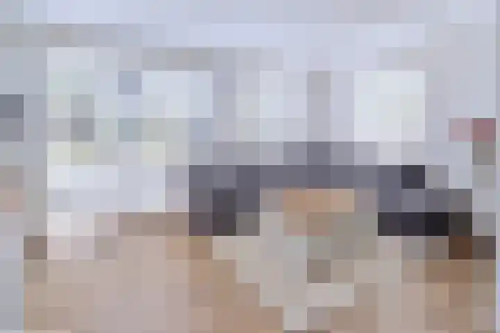 Rietkampen 11 Beek en Donk thumbnail 16