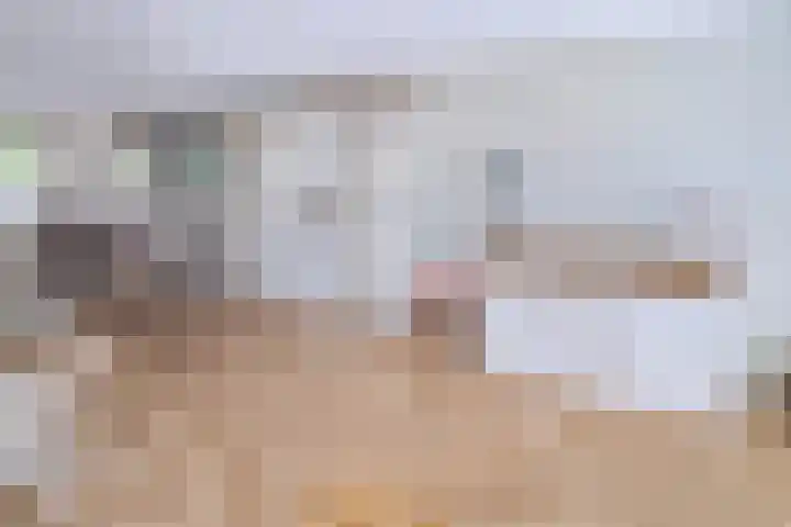 Rietkampen 11 Beek en Donk thumbnail 19