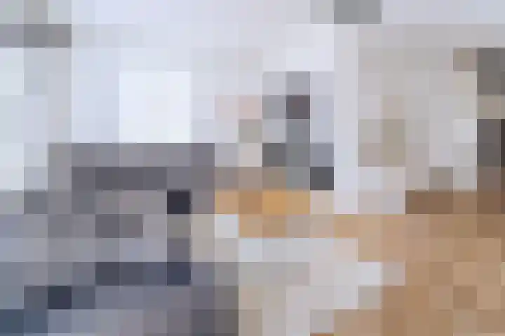 Rietkampen 11 Beek en Donk thumbnail 5