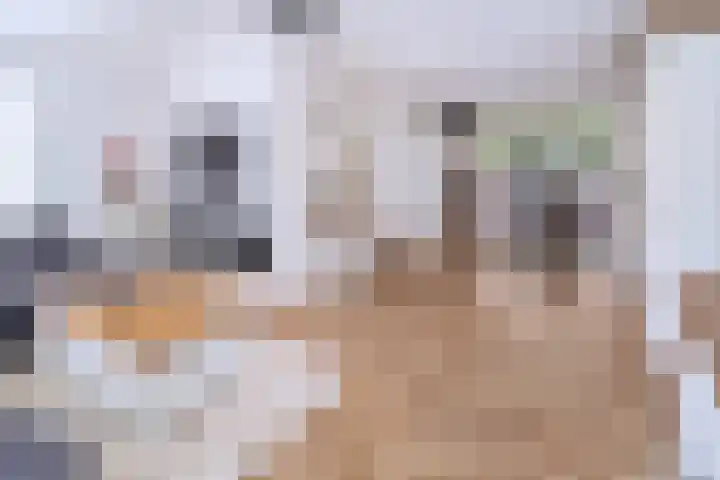 Rietkampen 11 Beek en Donk thumbnail 6
