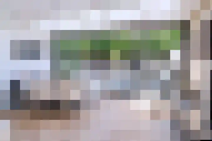 Rietkampen 11 Beek en Donk thumbnail 8