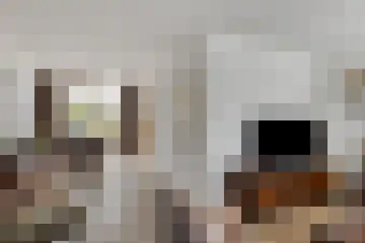 Rietkampen 24 Beek en Donk thumbnail 12