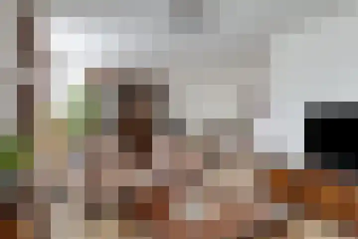 Rietkampen 24 Beek en Donk thumbnail 14