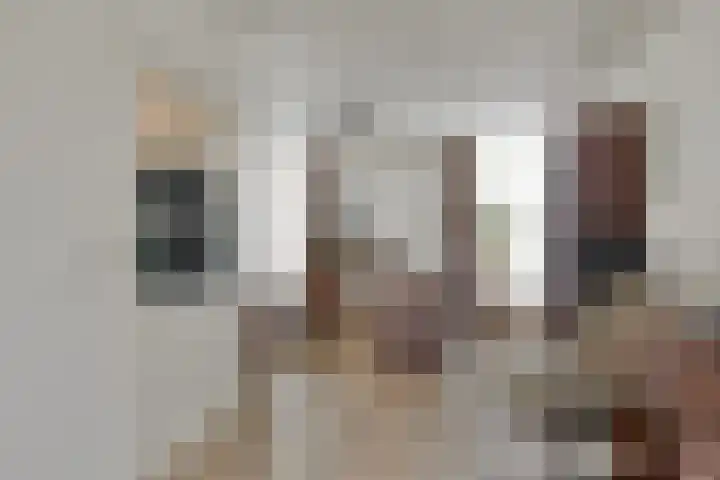 Rietkampen 24 Beek en Donk thumbnail 15