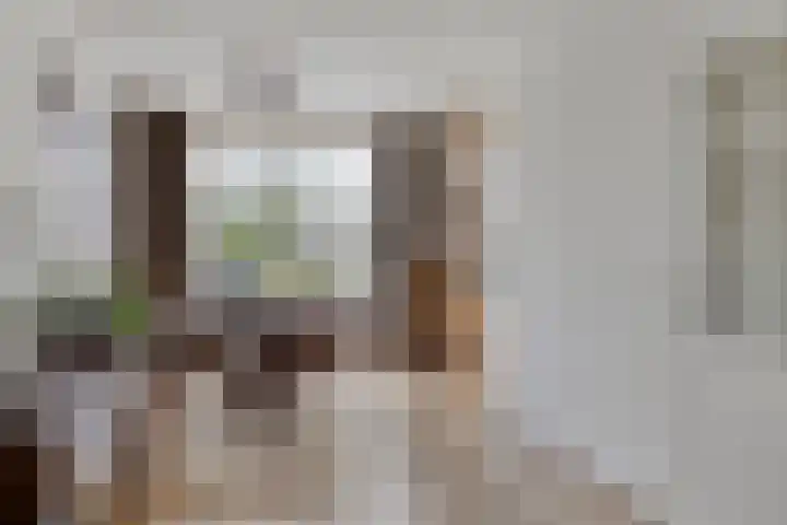 Rietkampen 24 Beek en Donk thumbnail 16