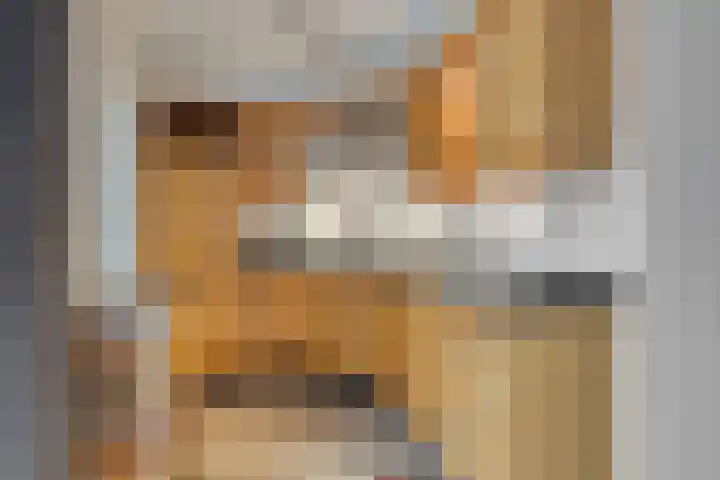 Rietkampen 24 Beek en Donk thumbnail 19