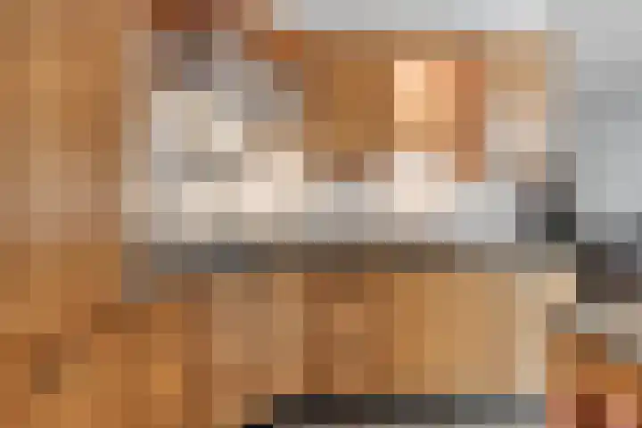 Rietkampen 24 Beek en Donk thumbnail 21