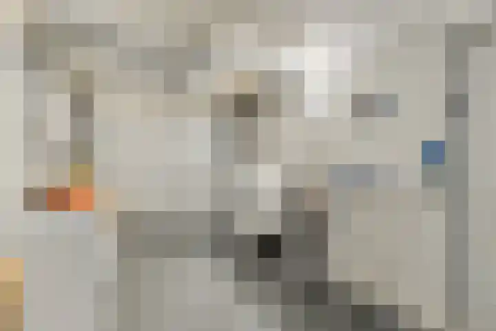Rietkampen 24 Beek en Donk thumbnail 24