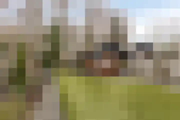Rietkampen 24 Beek en Donk thumbnail 36