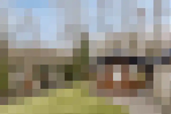 Rietkampen 24 Beek en Donk thumbnail 37
