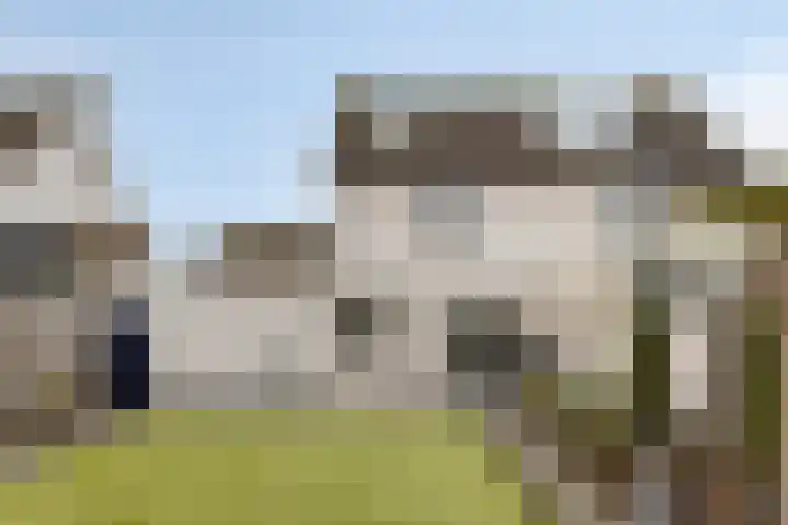 Rietkampen 24 Beek en Donk thumbnail 39