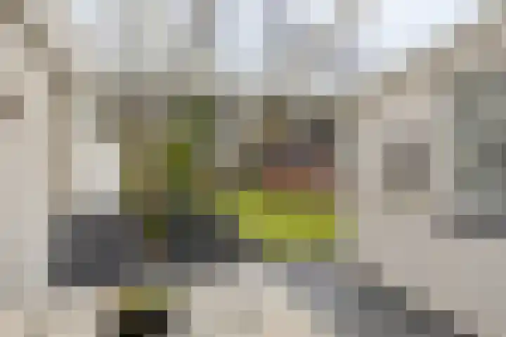 Rietkampen 24 Beek en Donk thumbnail 40