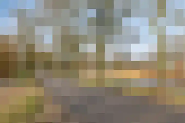 Rietkampen 24 Beek en Donk thumbnail 41
