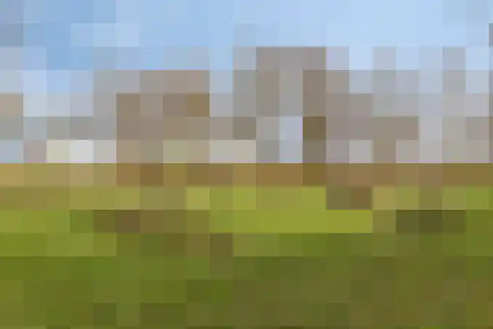 Rietkampen 24 Beek en Donk thumbnail 42