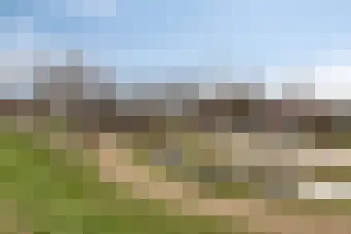 Rietkampen 24 Beek en Donk thumbnail 43