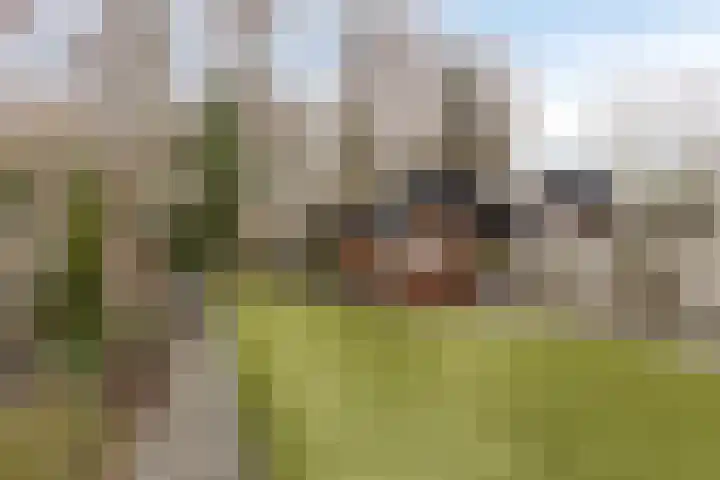 Rietkampen 24 Beek en Donk thumbnail 5