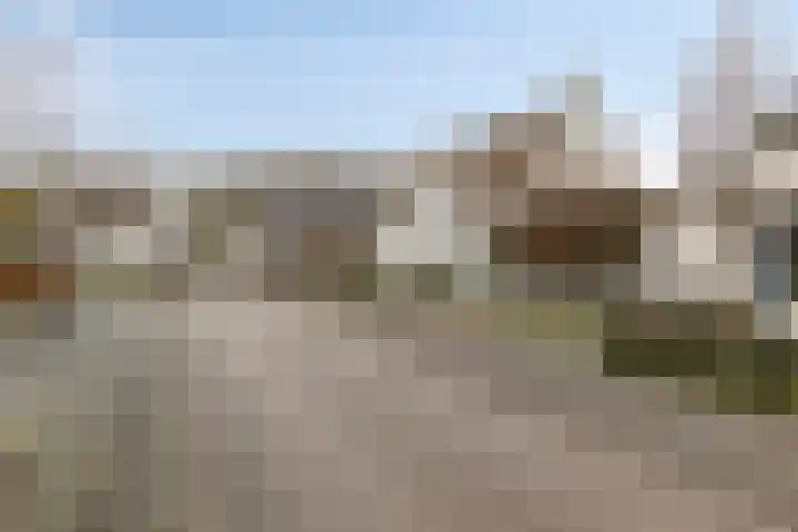 Rietkampen 24 Beek en Donk thumbnail 8