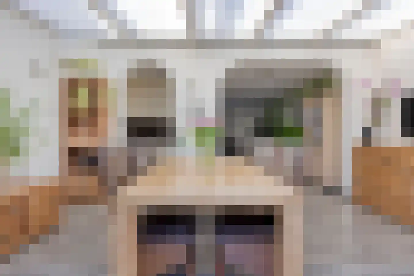 Rietkampen 33 Beek en Donk thumbnail 12