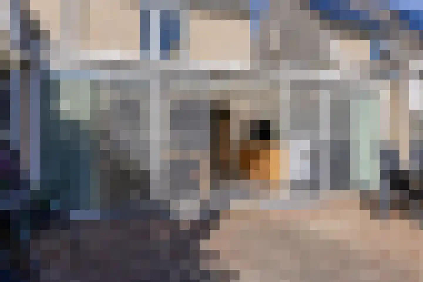 Rietkampen 33 Beek en Donk thumbnail 41