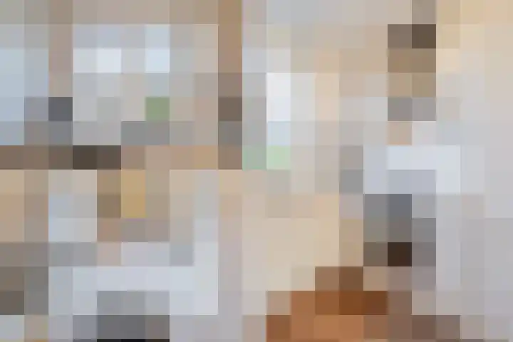 Rietkant 12 Noordwijk thumbnail 17