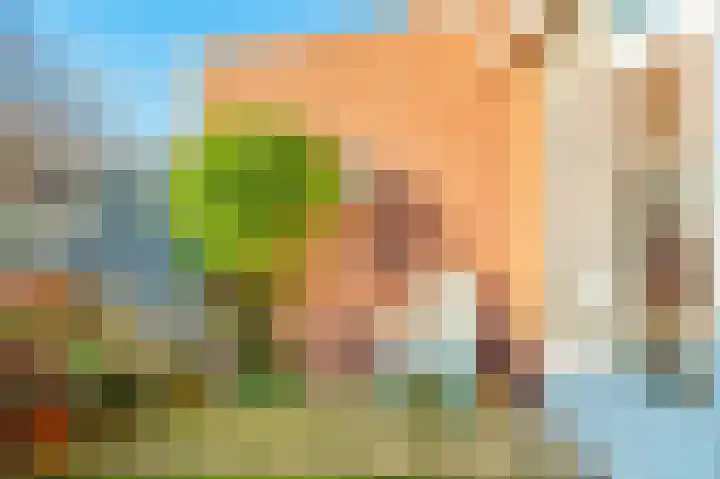 Rietkant 12 Noordwijk thumbnail 30