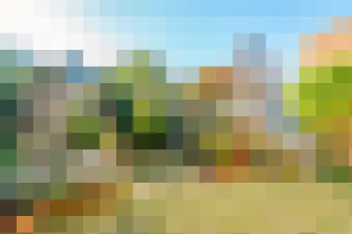 Rietkant 12 Noordwijk thumbnail 33