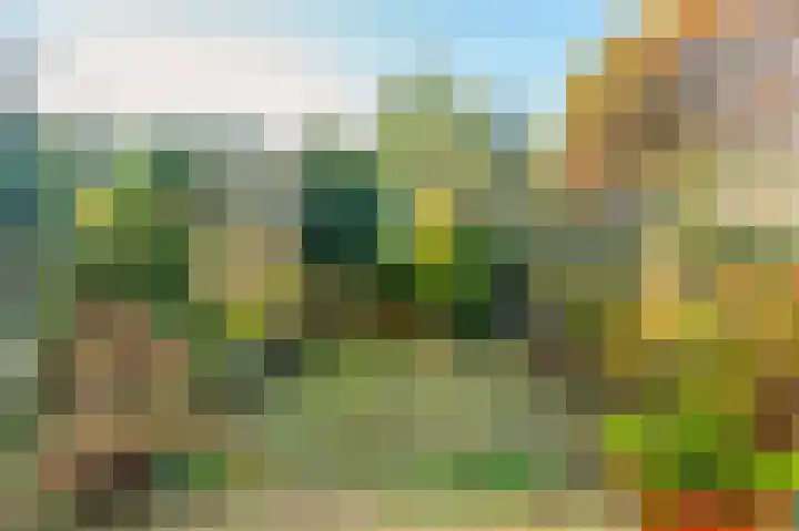 Rietkant 12 Noordwijk thumbnail 34