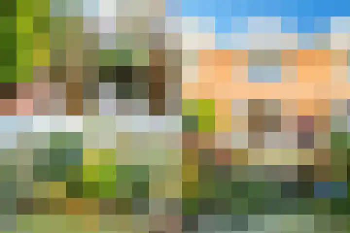 Rietkant 12 Noordwijk thumbnail 35