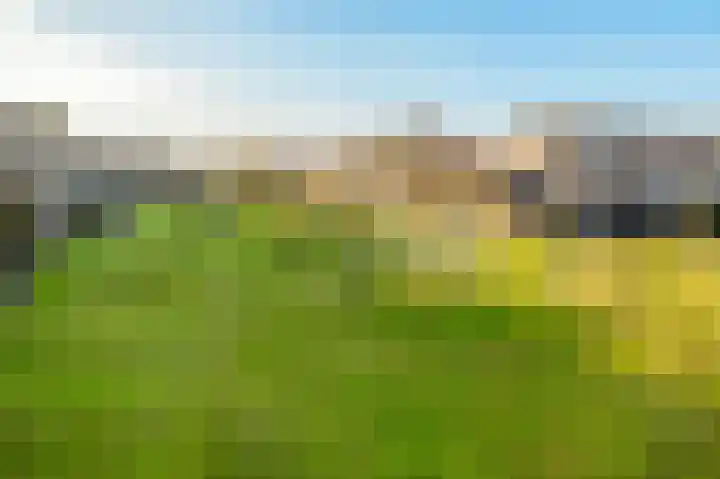 Rietkant 12 Noordwijk thumbnail 38
