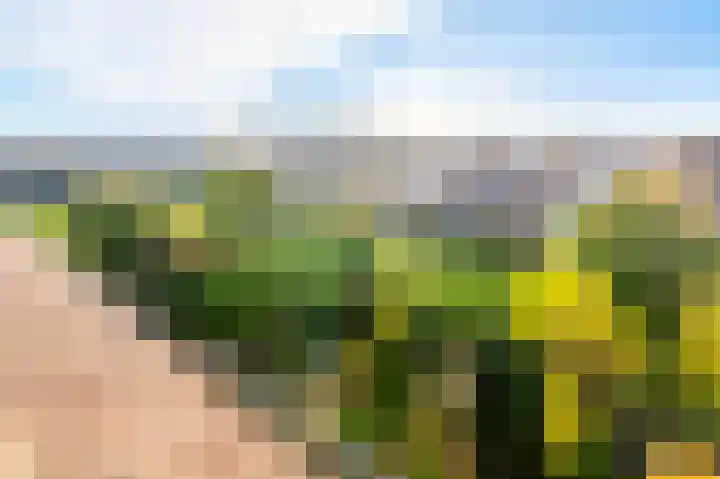 Rietkant 12 Noordwijk thumbnail 39