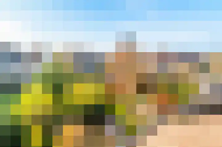 Rietkant 12 Noordwijk thumbnail 40